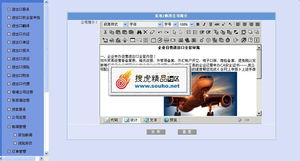 專業進出口服務公司整站解決方案 美工大氣后臺完整，精品源碼共享